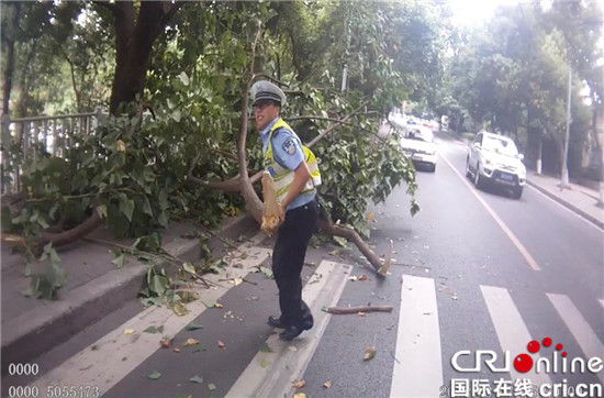 已過審【法制安全】樹枝橫倒路中 民警及時清除消除安全隱患