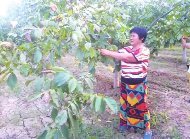 【地市 顯示圖在稿件最下方】富平盤龍：蝶變中的美麗鄉村