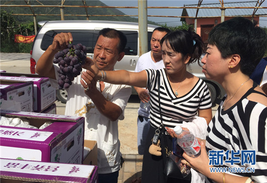 劉強東為“戶縣葡萄”代言！ 48小時送上一線城市市民餐桌_fororder_1121458739_15022839127521n