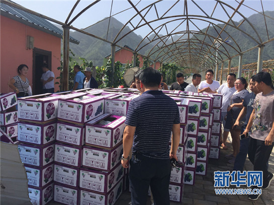 劉強東為“戶縣葡萄”代言！ 48小時送上一線城市市民餐桌_fororder_1121458739_15022839128401n