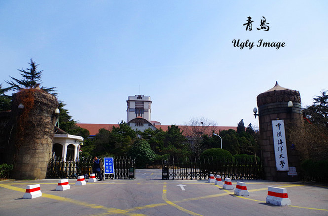 【教育·創客 圖 顯示圖在稿件最下方】錯把校園當公園 爆滿高校遊到底遊了啥?