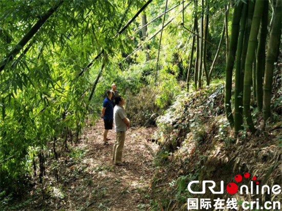 已過審【區縣聯動】【大足】大足回龍鎮：確保地質安全綠燈常亮