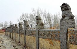 圖片默認標題_fororder_11