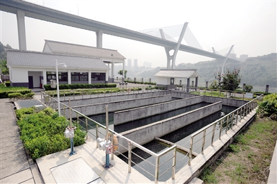 【能源環保 圖文】為留下一片綠 保住一處古跡 新建路拐了彎
