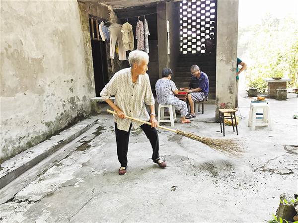 【社會民生 列表】大渡口區91歲龍婆婆義務清掃院壩近30年