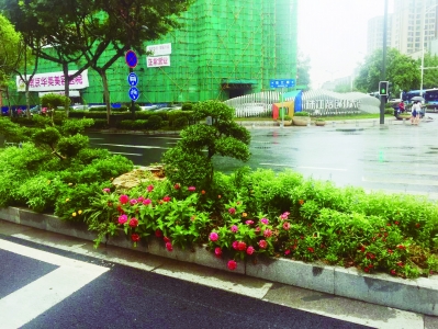 (公益)江蘇南京市珠江路全線桿件 減少三分之一 (公益)江蘇南京市珠江路全線桿件 減少三分之一