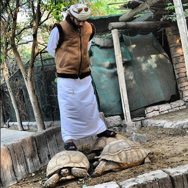 阿拉伯“土豪”養老虎獅子當寵物 網上曬圖受熱捧