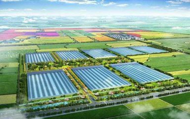 【科技-文字列表】【走遍山東-德州】德州智慧農業超級大棚顛覆你的傳統農業觀