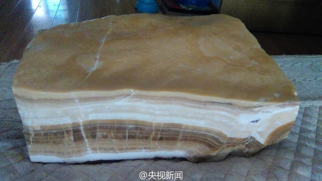 寧夏礦工意外挖到一億年前“肉石”讓人垂涎欲滴