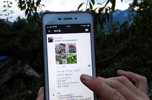 【區縣聯動】【黔江】特色效益農業遍地開花 看看黔江的扶貧“良方”【區縣聯動列表】看看黔江開出的産業扶貧“良方”
