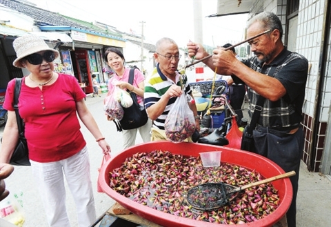 （食品圖文）蘇州吳中區剛上市的地産紅菱吸引了眾多遊客