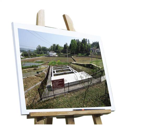 【能源環保列表】南川大觀鎮 著力彰顯“現代農業大觀園”特色