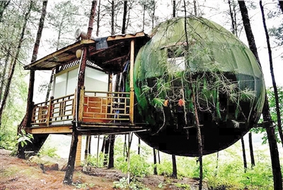 【行遊巴渝標題摘要】足不出重慶 就可住森林樹屋親近自然