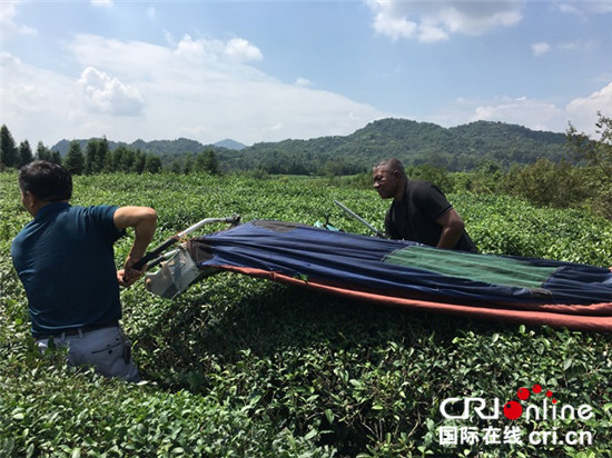 圖片默認標題_fororder_剛果（布）國家電臺記者蒙布裏體驗採茶機_副本_副本