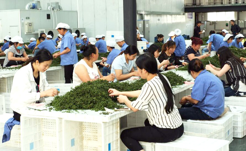 【區縣聯動】【酉陽】酉陽農村電商打通脫貧攻堅網上“快速路”