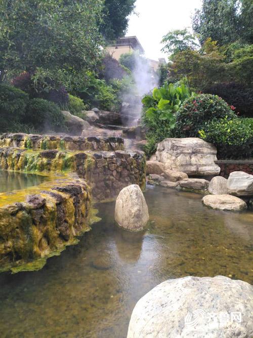 【旅遊-文字列表】千畝花海似夢境 這裡是中國的普羅旺斯