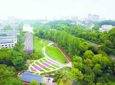 （環保）江蘇南京市41個遊園綠地“十一”前後完工