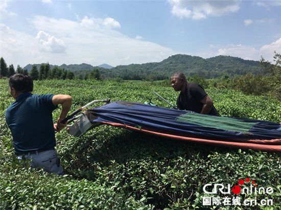 圖片默認標題_fororder_剛果（布）國家電臺記者蒙布裏體驗採茶機_副本_副本