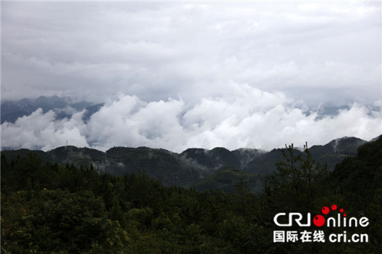 已過審【區縣聯動】重慶巫山驚現罕見雲龍奇觀【區縣聯動】重慶巫山驚現罕見雲龍奇觀