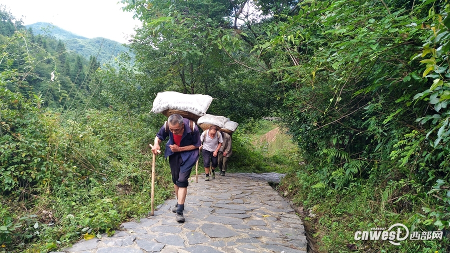 【焦點圖  顯示圖在稿件最下方】寧強金剛峽搬運工日背248斤 喝六斤水還渴