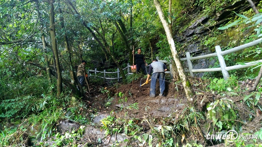 【焦點圖  顯示圖在稿件最下方】寧強金剛峽搬運工日背248斤 喝六斤水還渴
