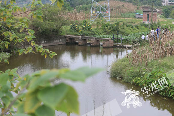 【區縣聯動】【涪陵】涪陵：向榨菜廢水“宣戰”
