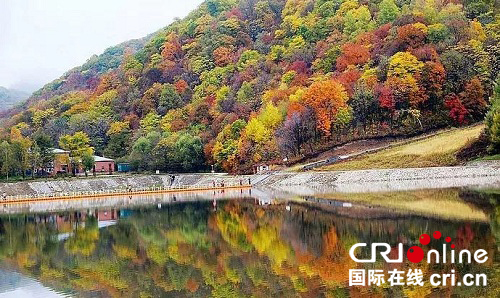 供稿【大美龍江】亞布力秋色 供稿【大美龍江】亞布力秋色