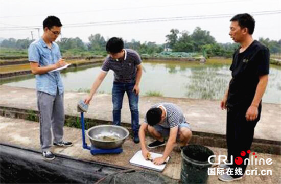 已過審【區縣聯動】潼南：開展3個魚類品種對比試驗測産工作【區縣聯動】潼南：開展魚類品種對比試驗測産工作