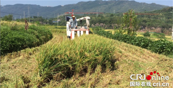 已過審【區縣聯動】【綦江】綦江：農機服務組織助力撂荒地變廢為寶【區縣聯動列表】綦江農機服務組織助力撂荒地變廢為寶