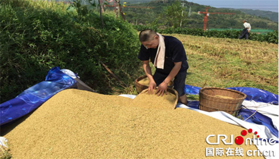 已過審【區縣聯動】【綦江】綦江：農機服務組織助力撂荒地變廢為寶【區縣聯動列表】綦江農機服務組織助力撂荒地變廢為寶