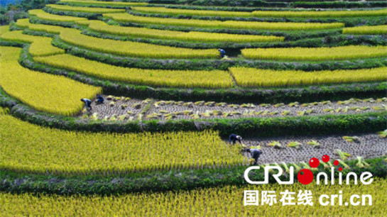 活動_fororder_圖片7_副本