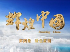 四分鐘速覽《輝煌中國》第四集《綠色家園》_fororder_1506076790348_600
