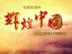 四分鐘速覽《輝煌中國》第五集《共享小康》