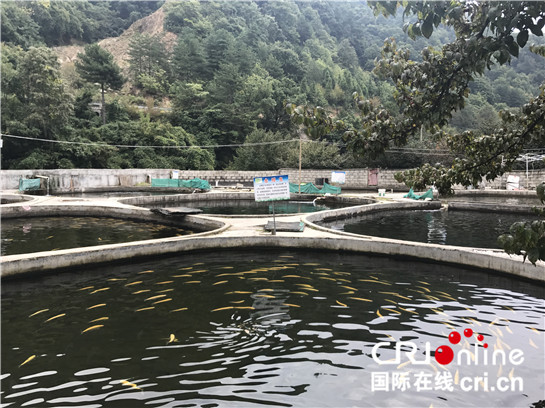 佛坪縣“沙窩模式”帶動村域經濟發展 開啟旅遊脫貧新模式_fororder_715788678332216729