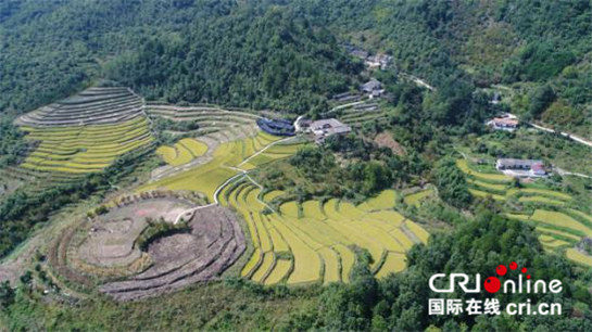 精準扶貧看佛坪：為脫貧攻堅貢獻“佛坪力量”_fororder_536242548993693175