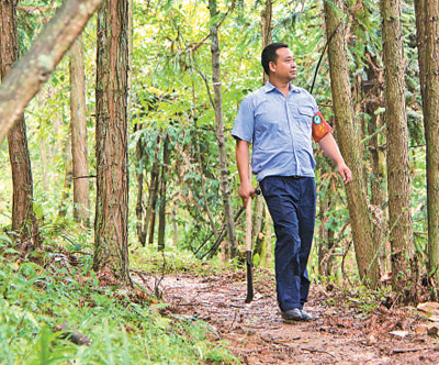 【環保視點專題　自然生態 圖文摘要】綠了—— 大山森林做保養