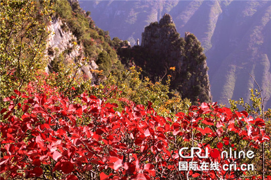 已過審【行遊巴渝 標題摘要】重慶巫山南川獲“全國森林旅遊示範縣”稱號