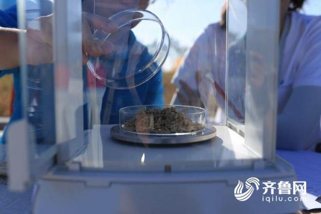 【科技-文字列表】首茬海水稻袁隆平打分優秀 微量元素含量高