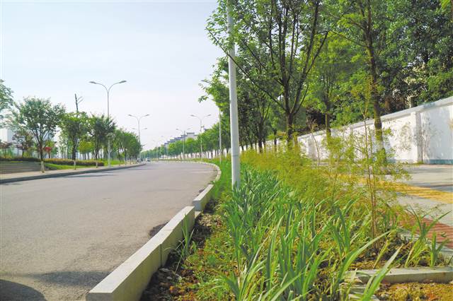 【環保視點專題 自然生態】秀山：打造武陵山區最美城市