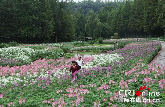 已過審【行遊巴渝 圖文】兩江新區雙節旅遊吸引60萬遊客前往