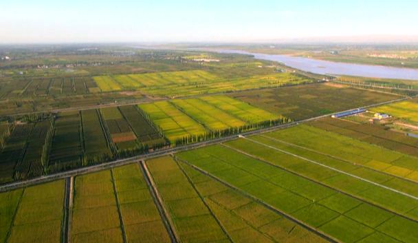 中國三處古代水利工程申報世界灌溉工程遺産成功