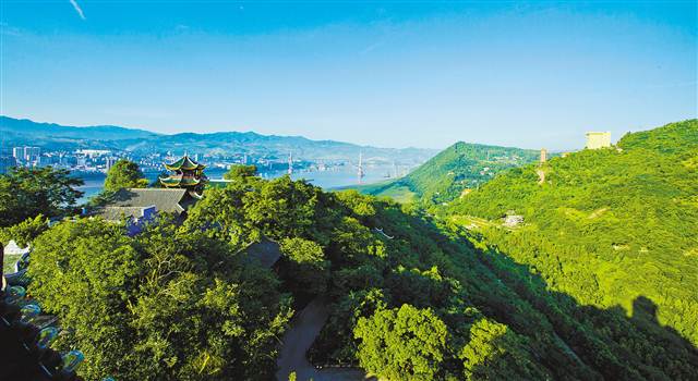 【要聞】重慶長江兩岸森林覆蓋率達50.2%