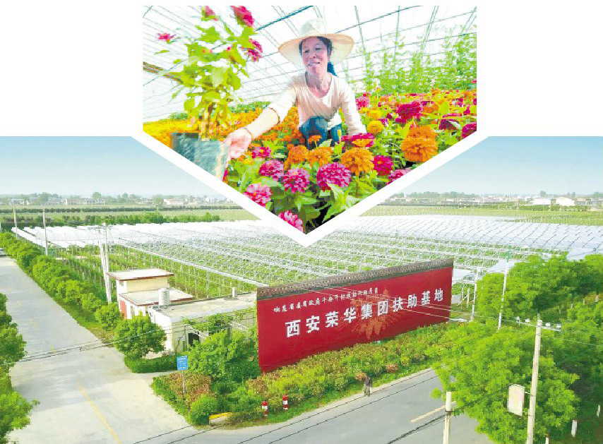 【三秦大地 西安】西安市鄠邑區以“五個美麗”為引領 打贏精準脫貧攻堅戰