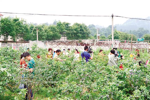 【區縣聯動】【南川】南川 扶貧搬遷“搬”出新天地