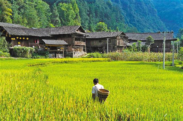 【行遊巴渝 標題摘要】石柱土家吊腳樓將成旅遊景點