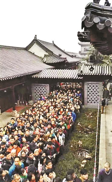 西安千年古銀杏樹成“網紅” 參觀需預約