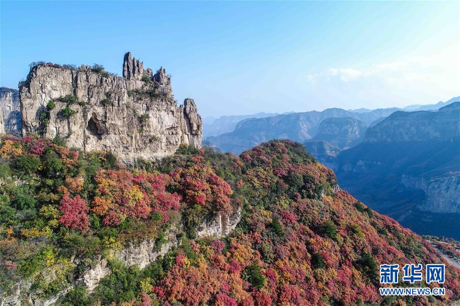 河北石家莊：金秋紅葉滿太行