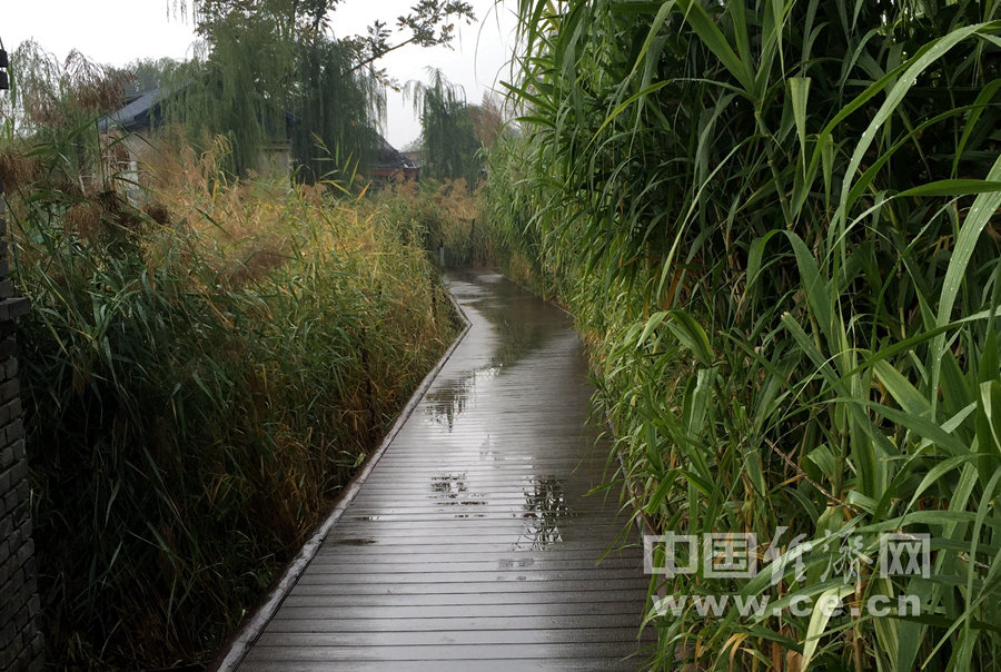 雨中游北京前門三里河 觀水穿街巷美景