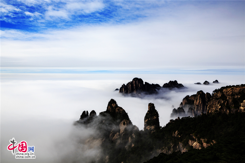 秋觀雲海 用身心體味黃山的自然神奇