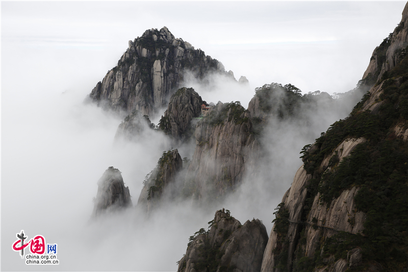 秋觀雲海 用身心體味黃山的自然神奇